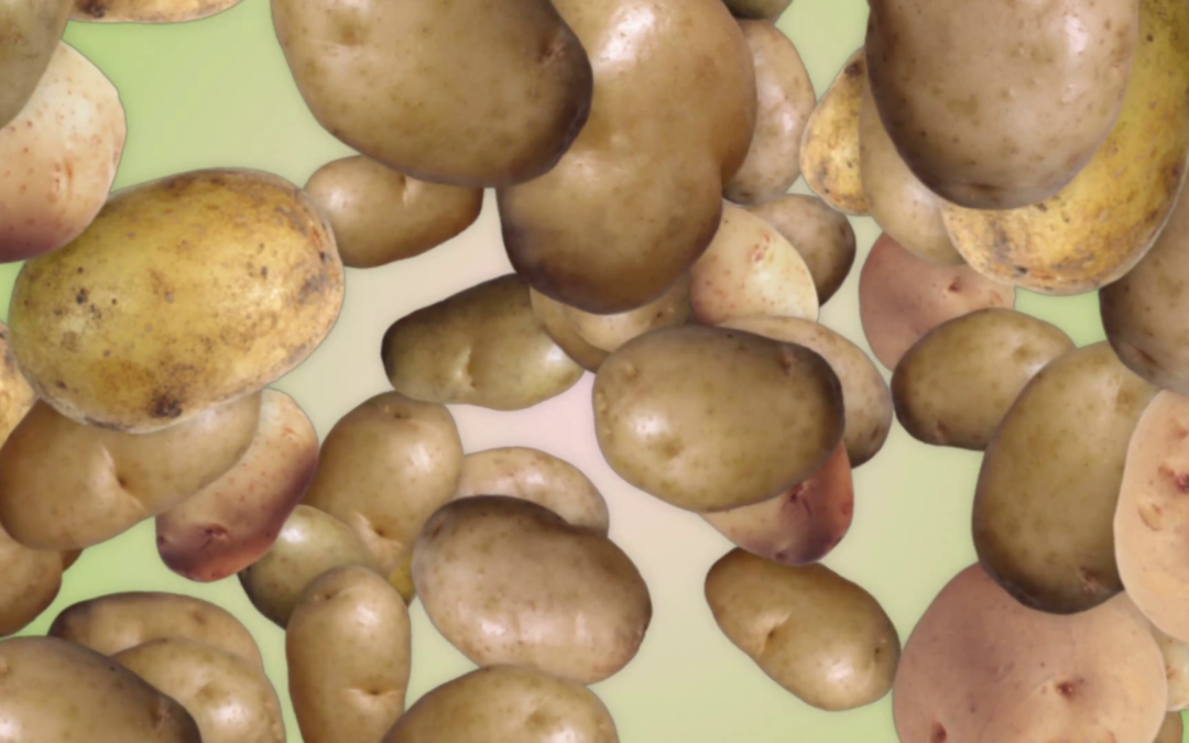 A Tale of Two Potatoes
