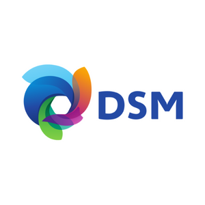 DSM