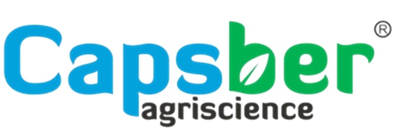 Innovator Logo