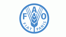 Food and Agriculture Organization of the United Nations (FAO) Logo